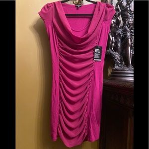 NWT Express Rushes Dress
